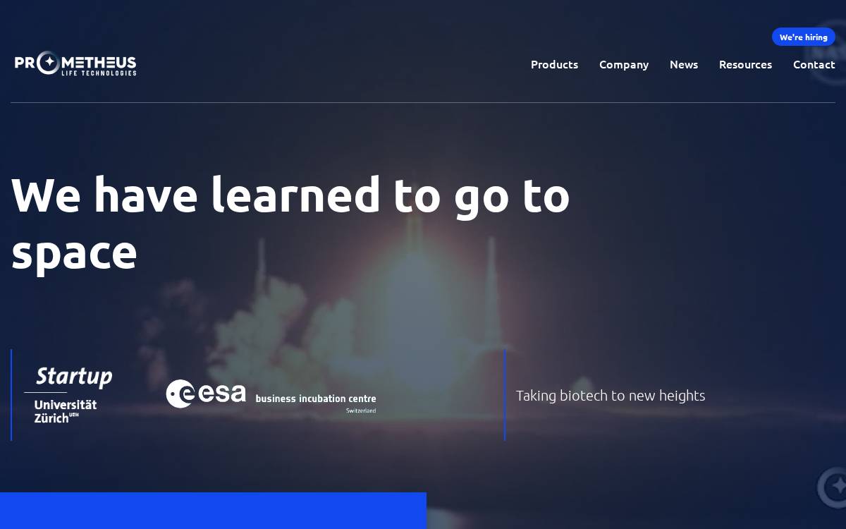 Plt website preview