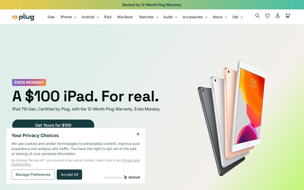 Plug website preview
