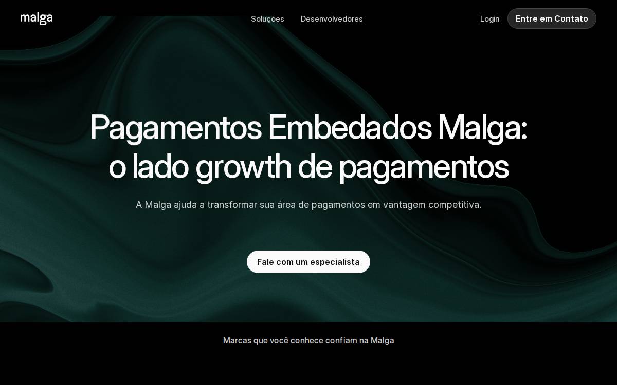 Plugpagamentos website preview