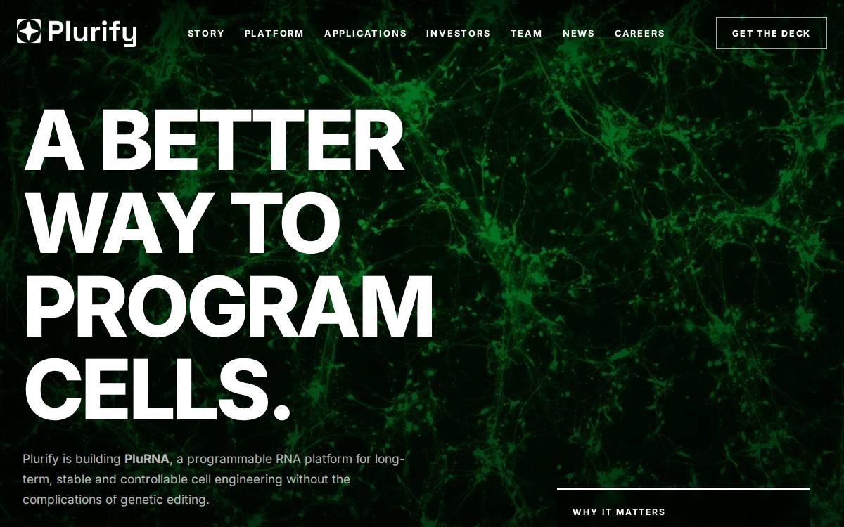 Plurify website preview