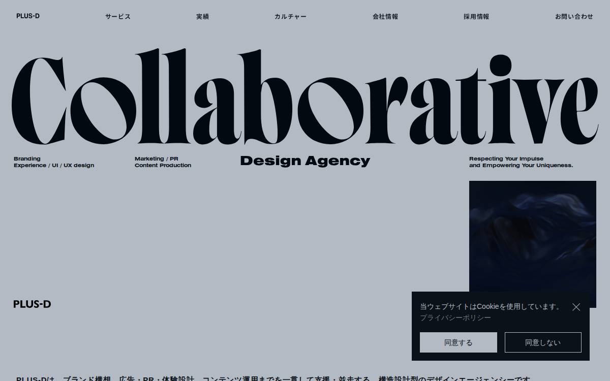 Plus D website preview