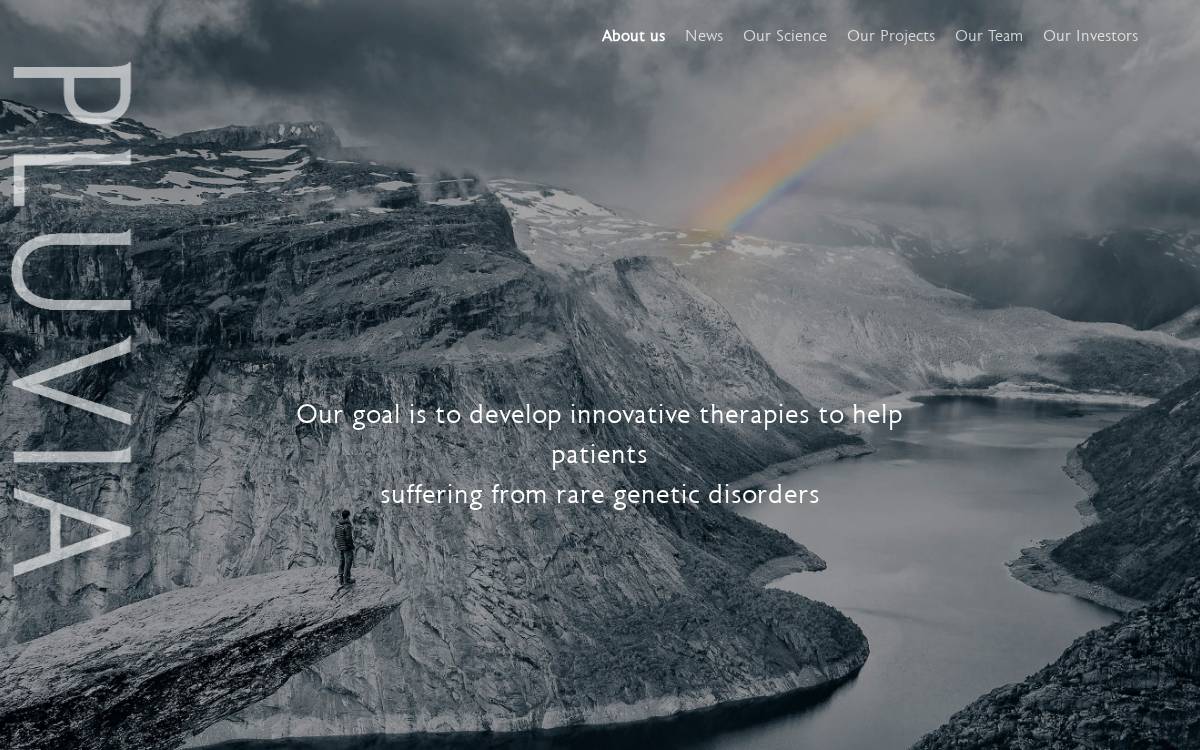 Pluvia website preview