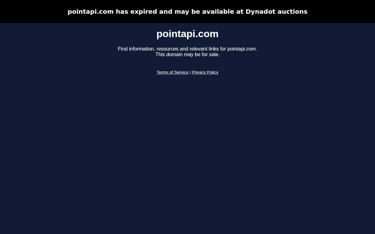 Point API website preview