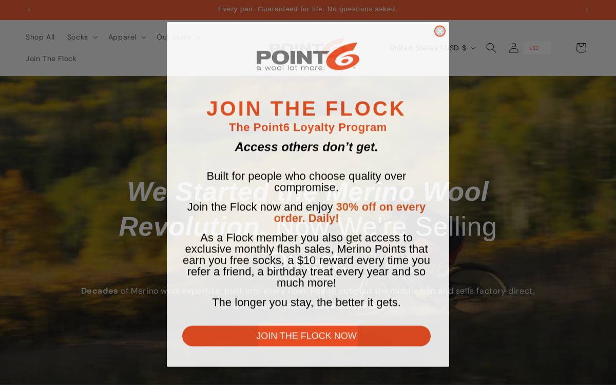 Point6 website preview