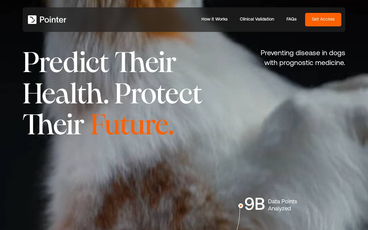 Pointer Health website preview