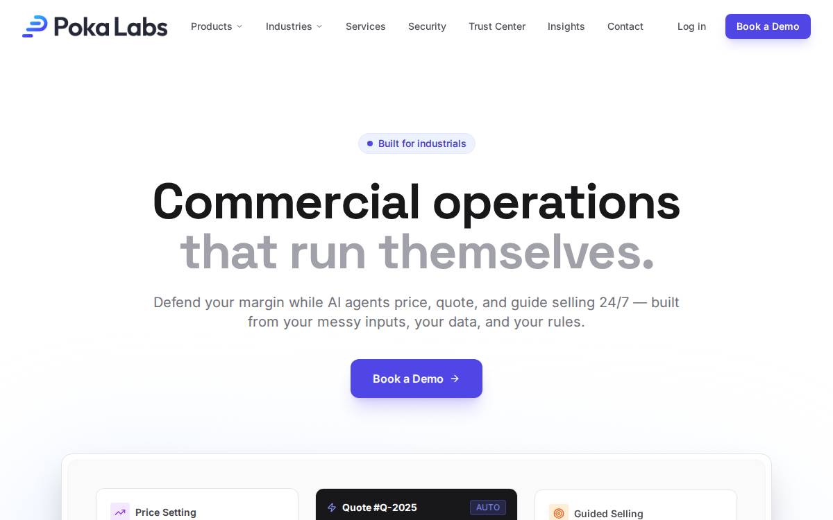 Poka Labs website preview