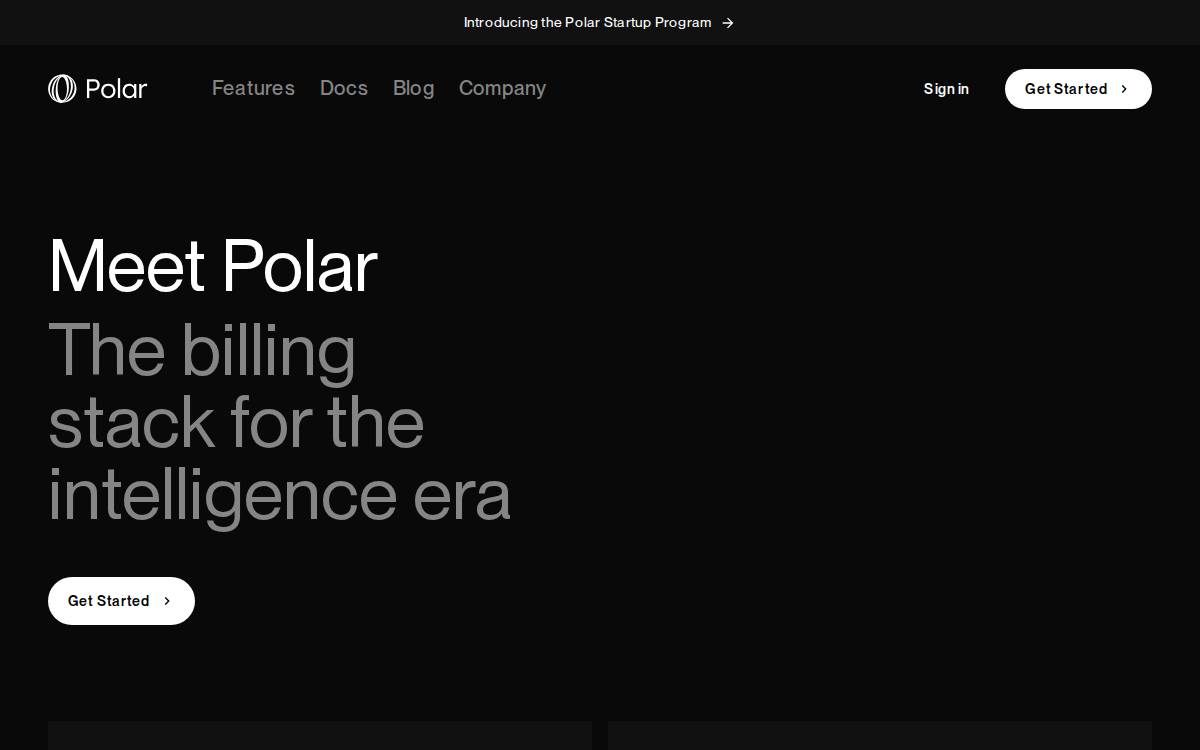 Polar website preview