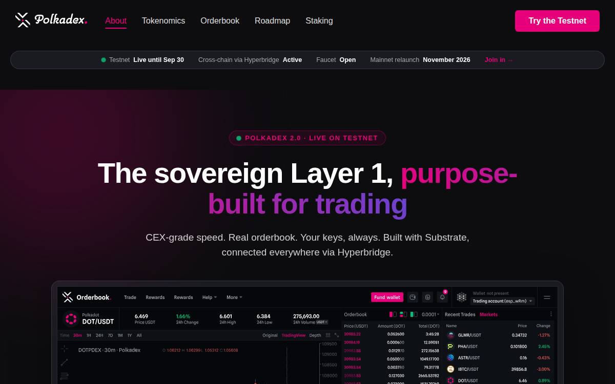 Polkadex website preview