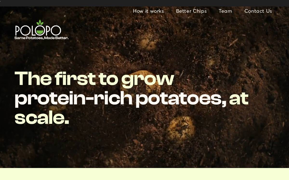PoLoPo website preview