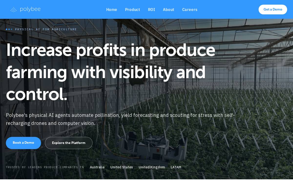 Polybee website preview