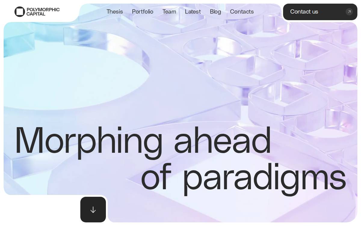Polymorphic Capital is the application-centric Web3 VC website preview