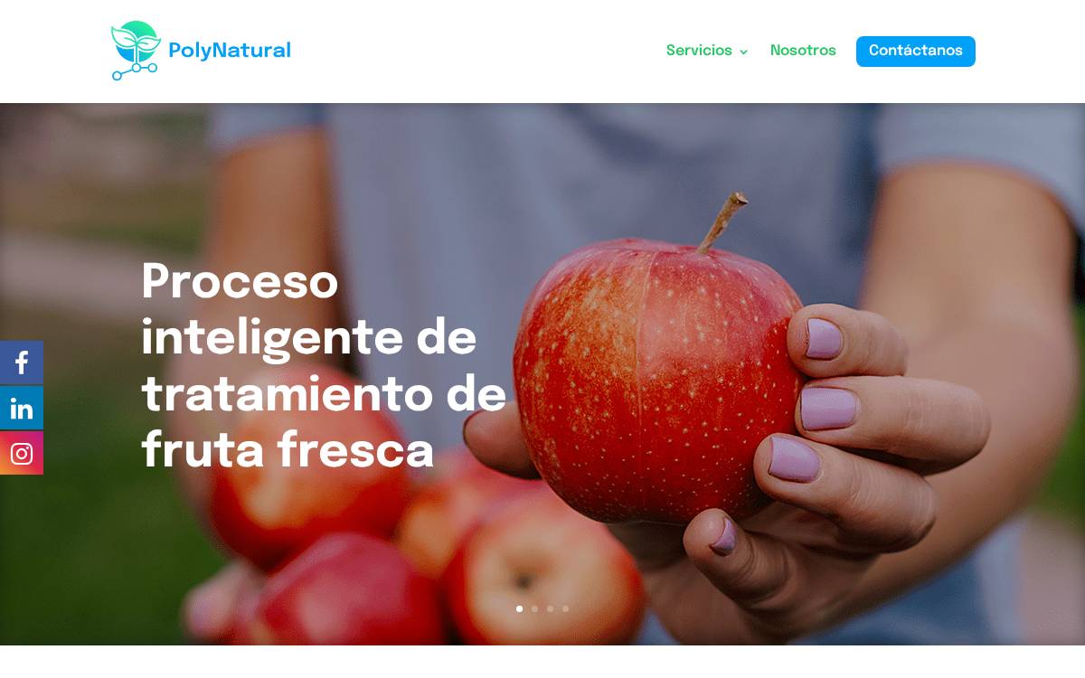 Polynatural website preview