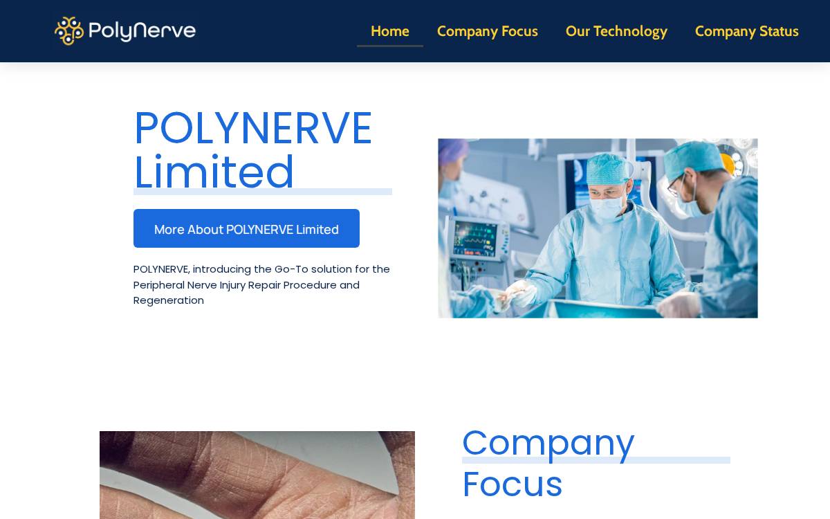 Polynerve website preview