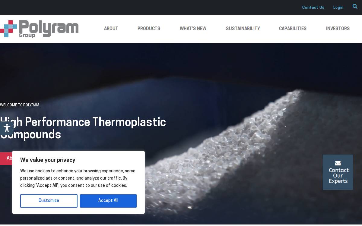 Polyram Group website preview