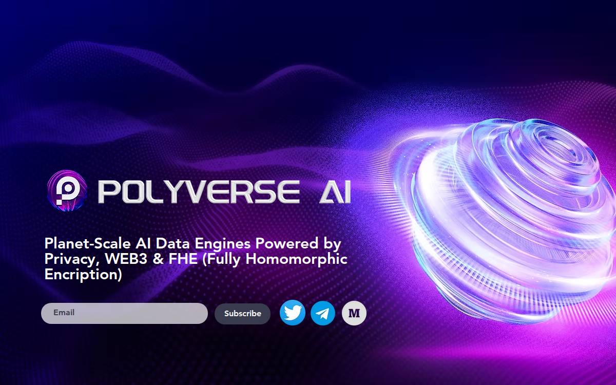 Polyverse website preview