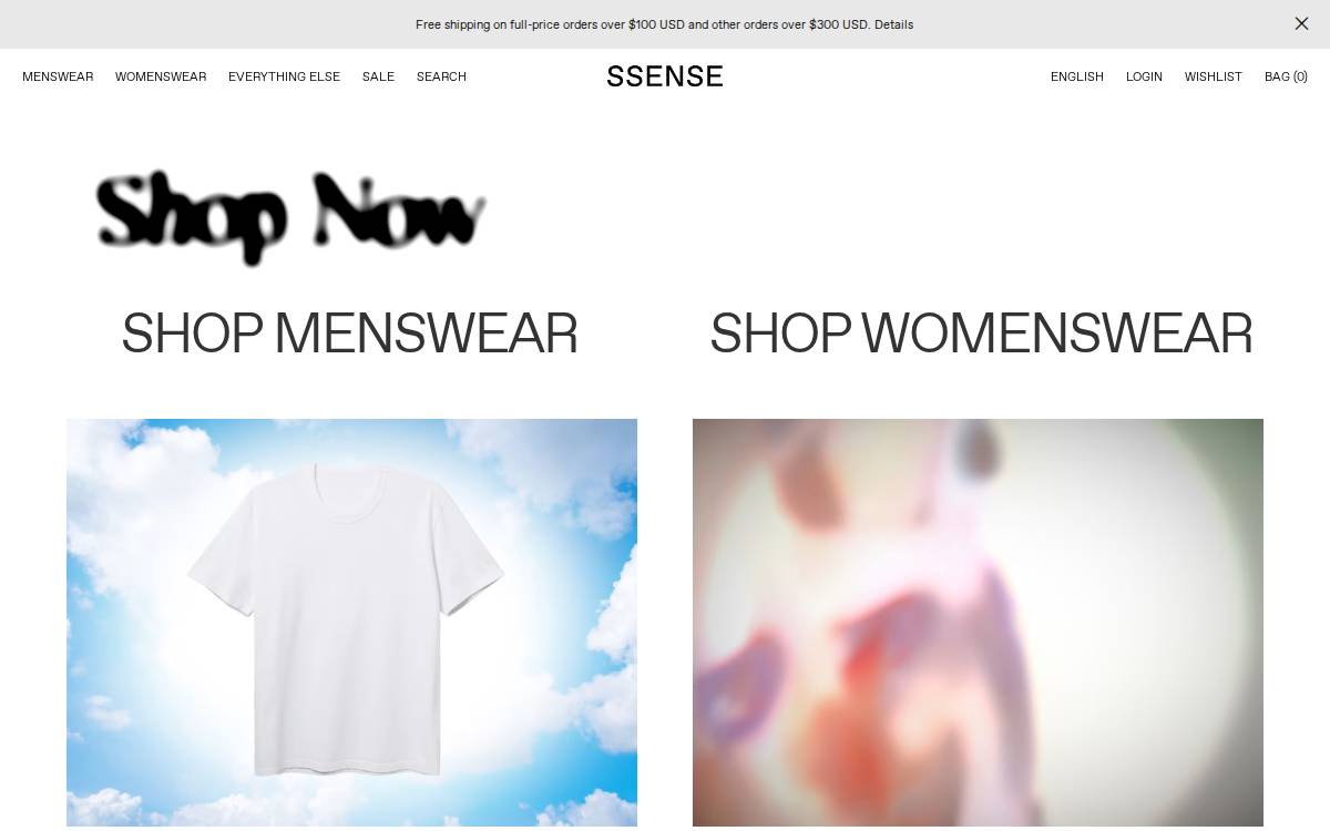 Polyvore website preview