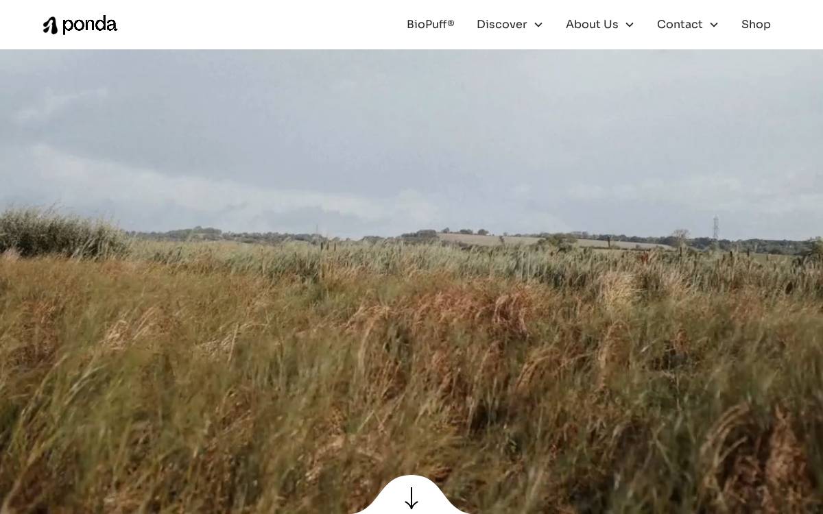 Ponda website preview