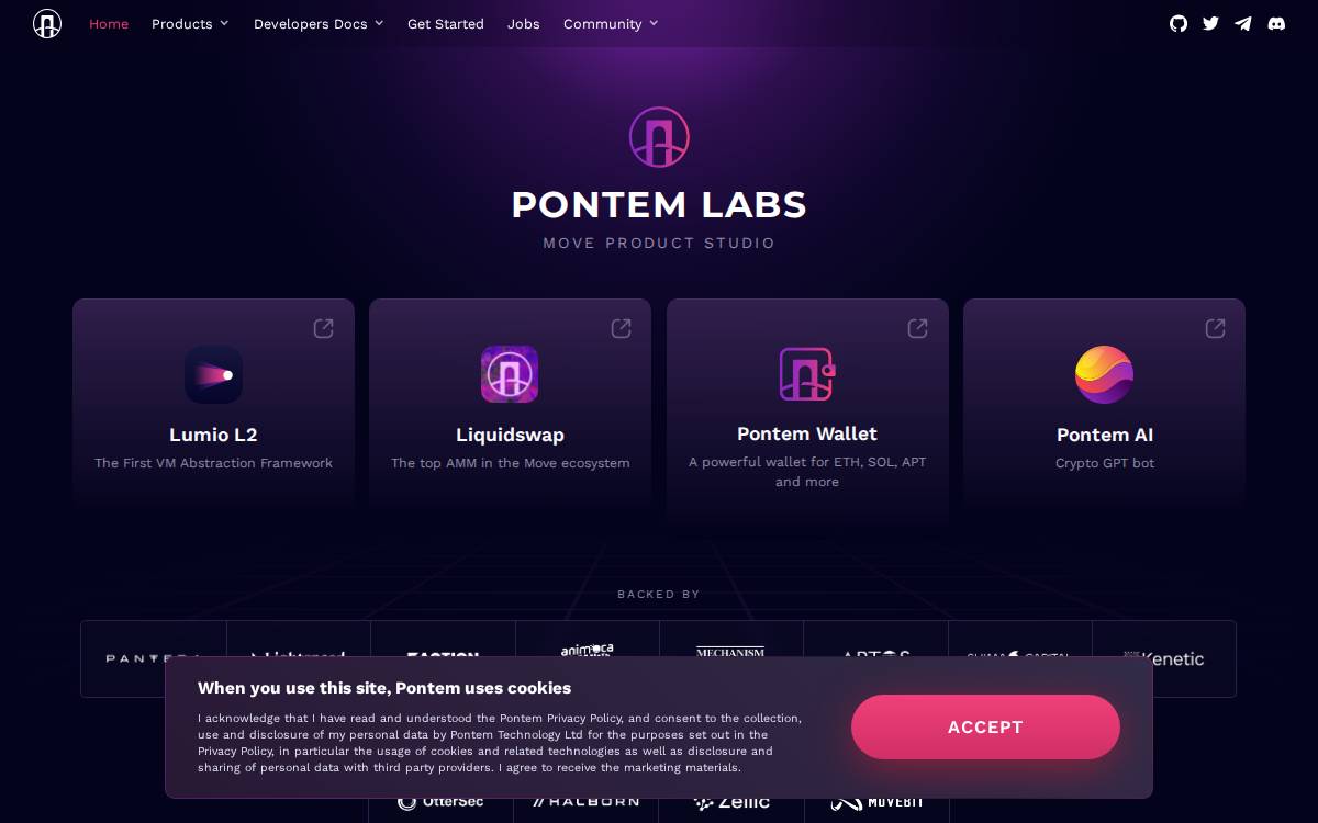 Pontem Network website preview
