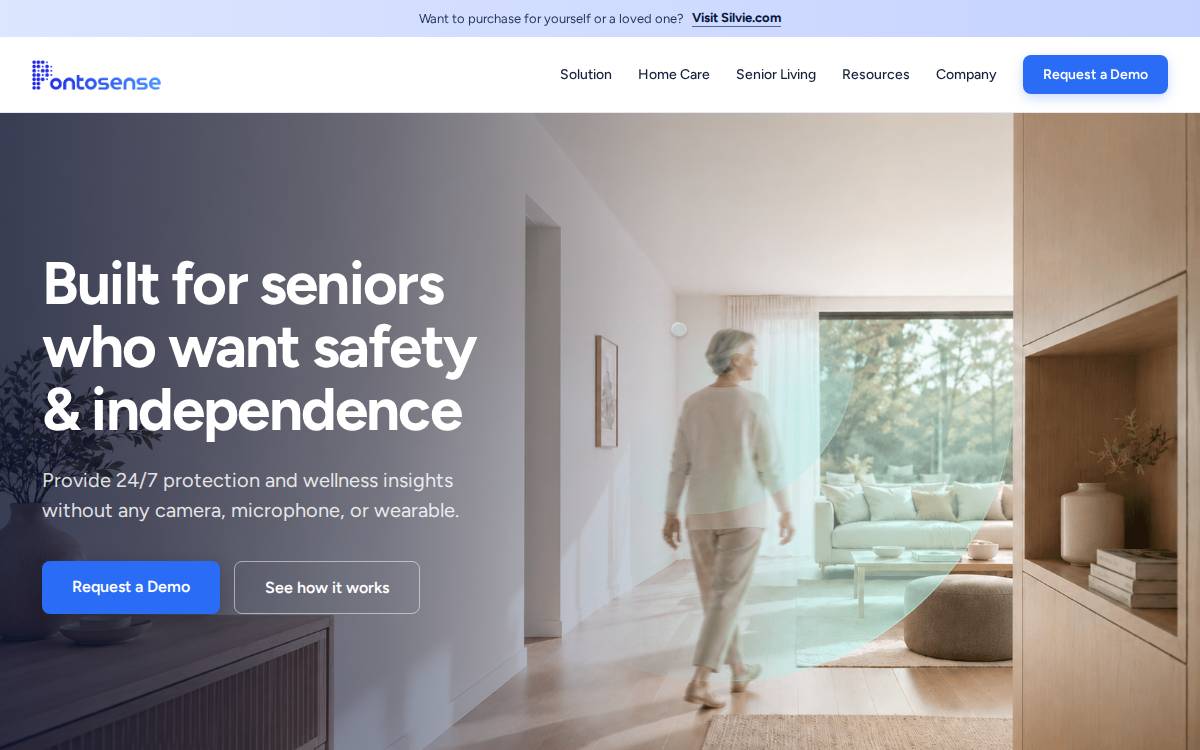 Pontosense website preview