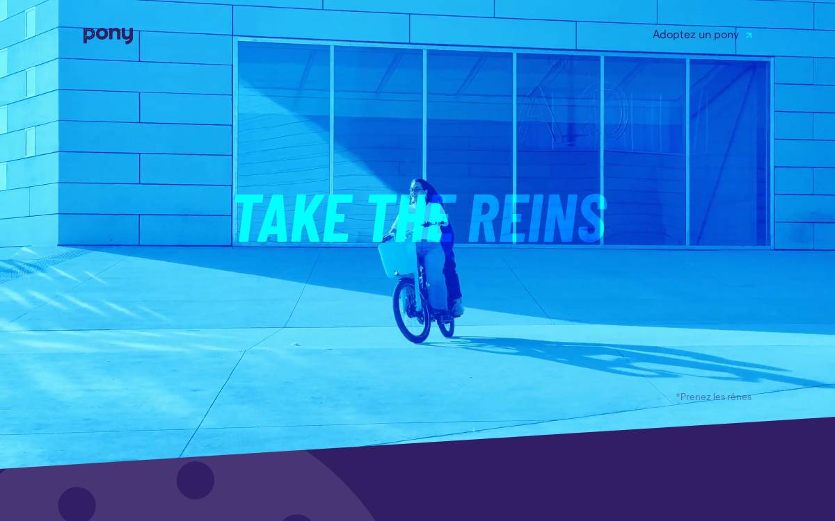 Pony website preview