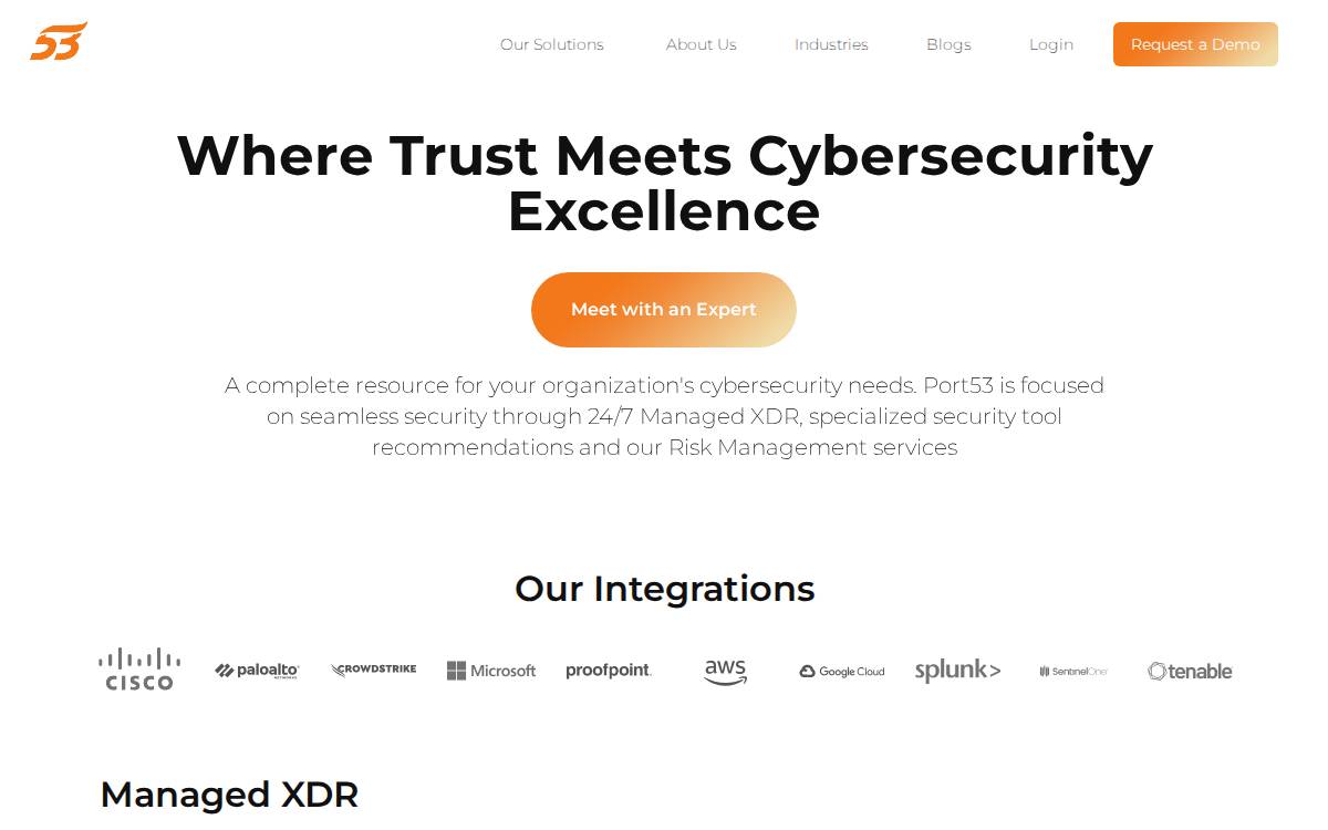 Port53 Technologies website preview