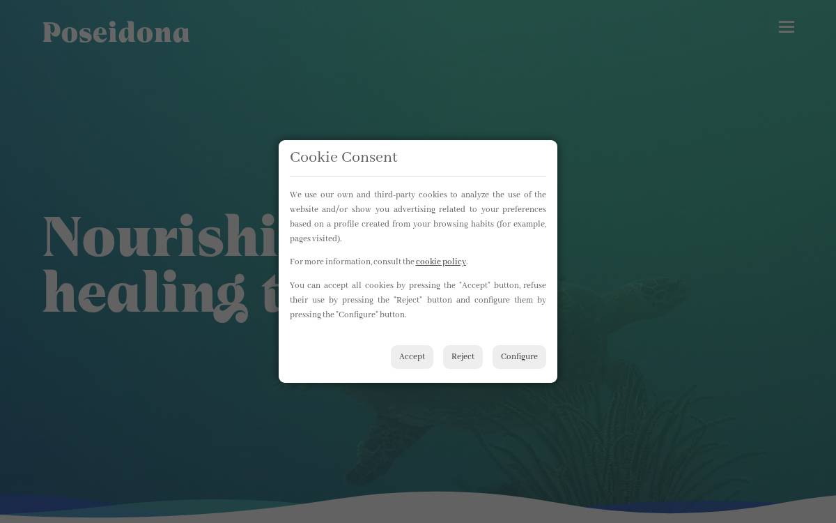 Poseidona website preview