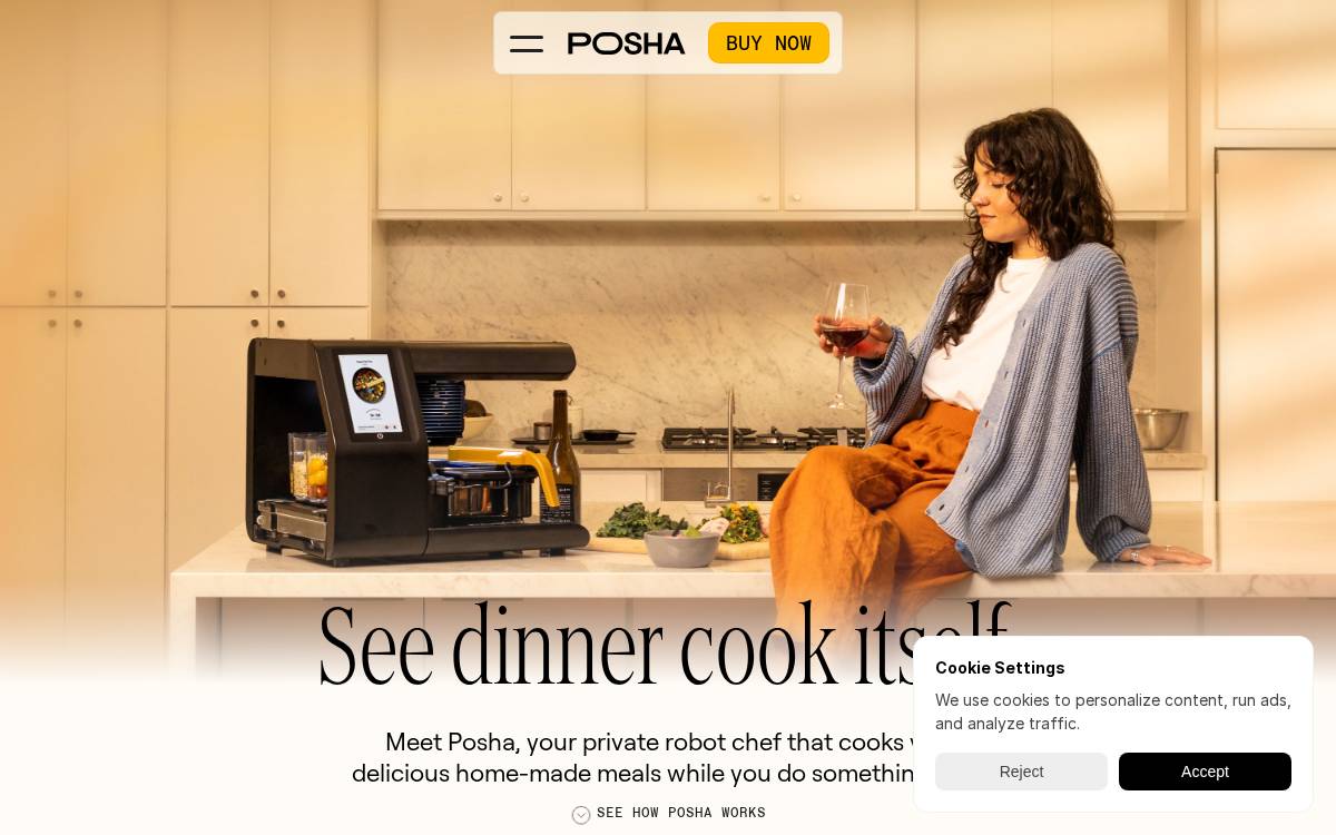 Posha website preview