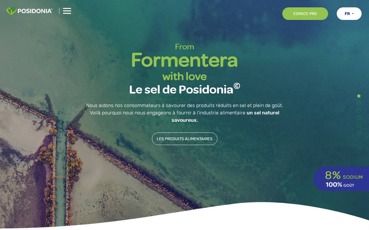 Posidonia website preview