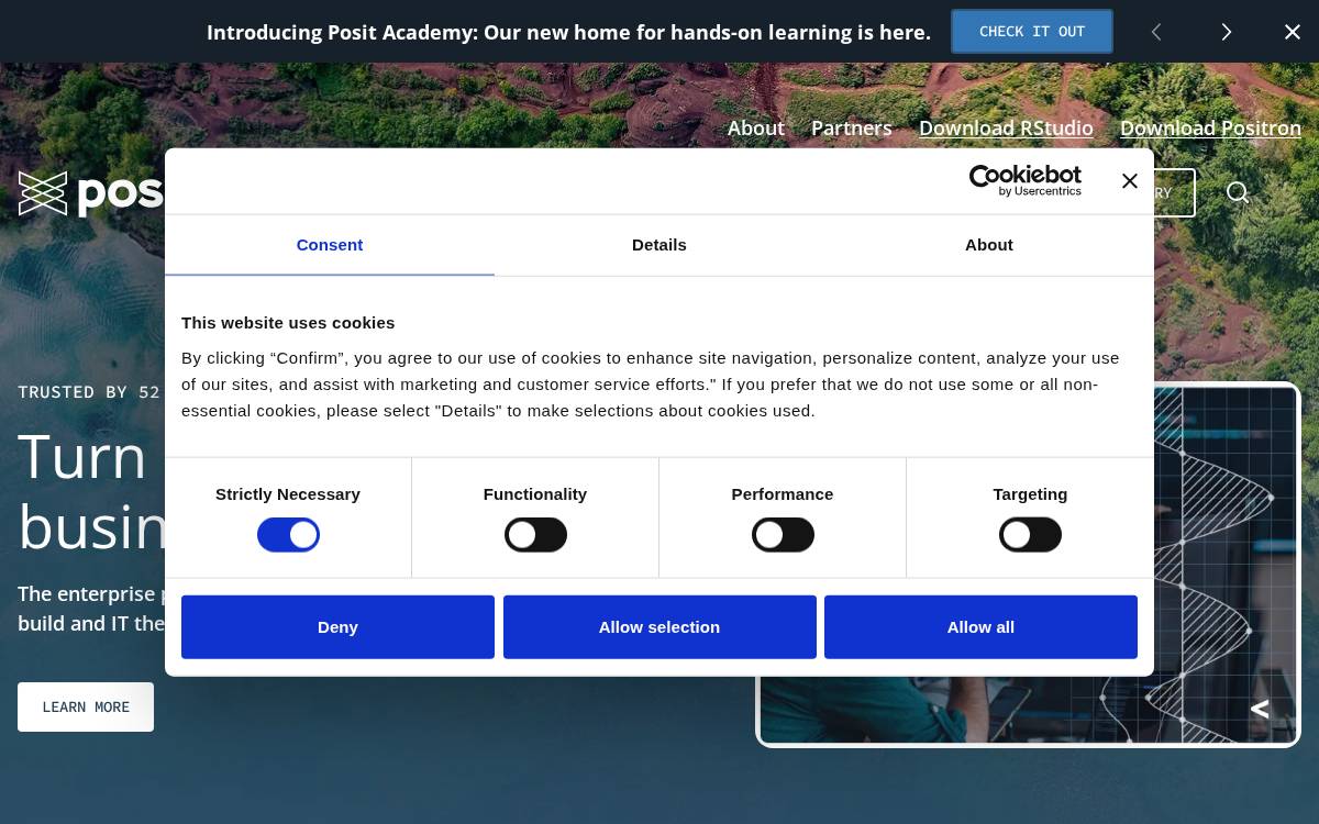 Posit website preview
