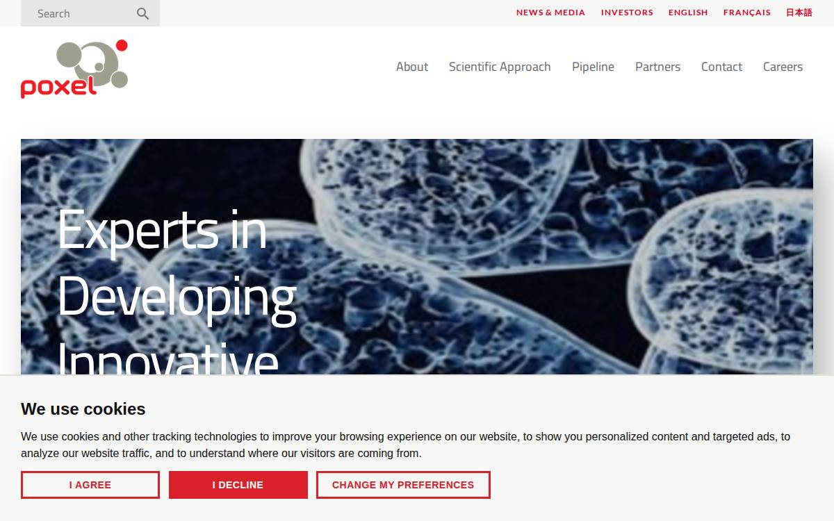 Poxel website preview