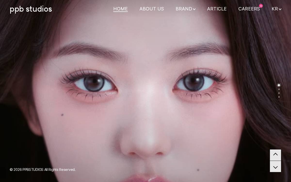 PPB Studios website preview