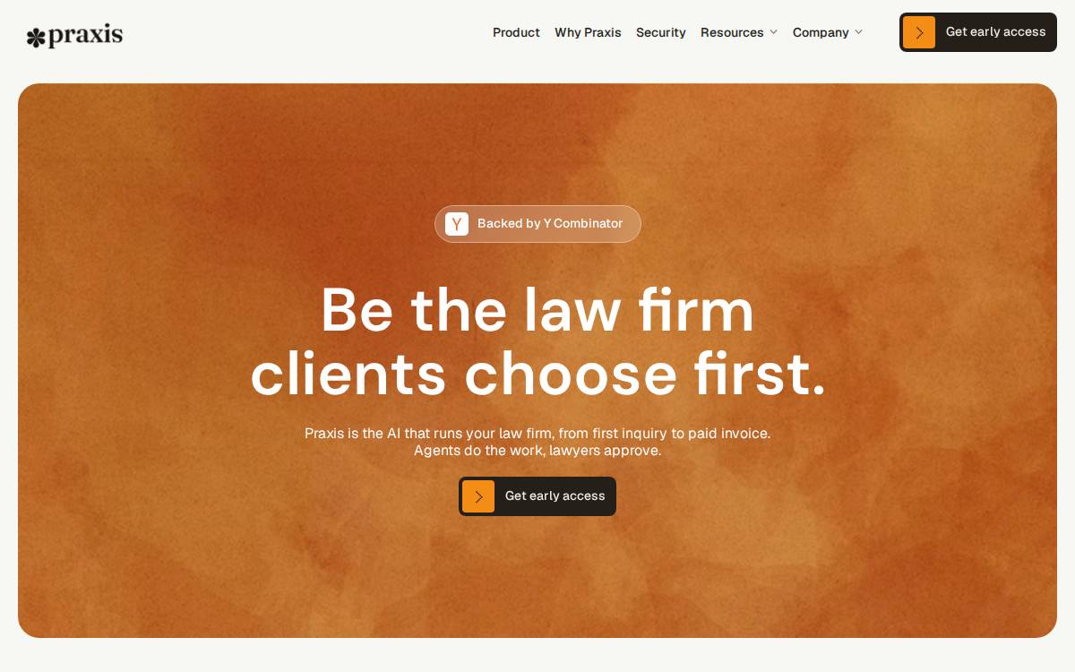Praxis website preview