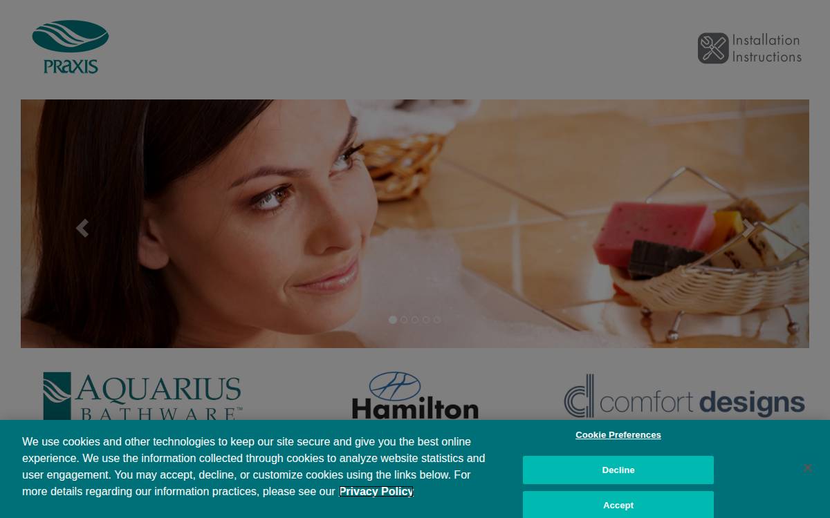 Praxis Companies website preview
