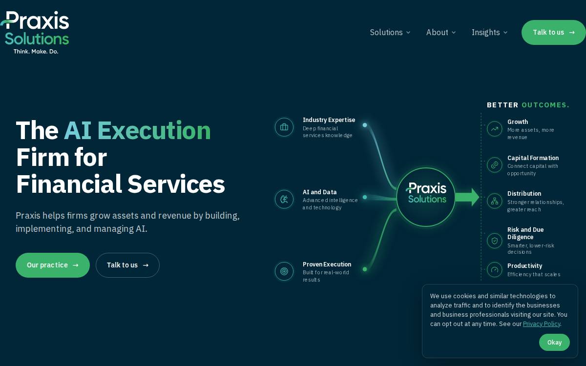 Praxis Solutions website preview