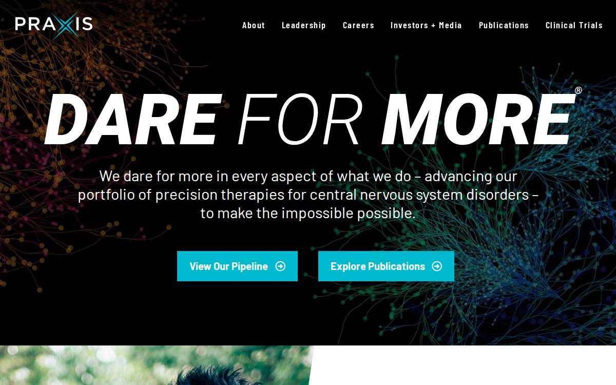 Praxis website preview