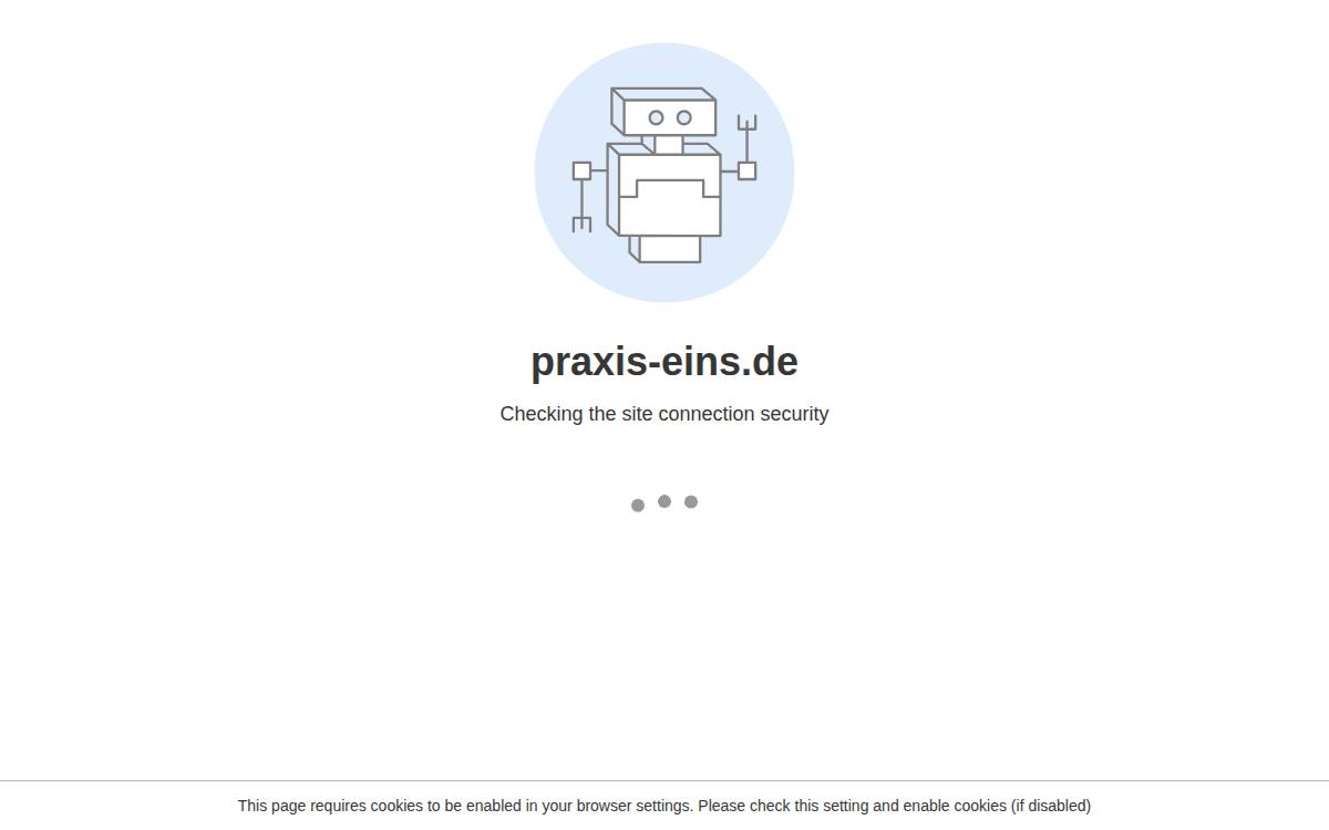 PraxisEins website preview
