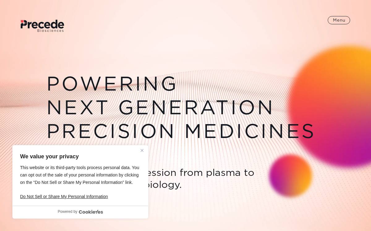 Precede website preview