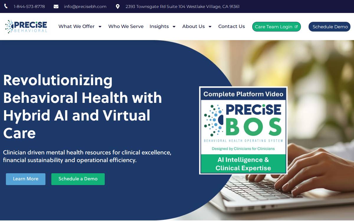 Precise Behavioral website preview