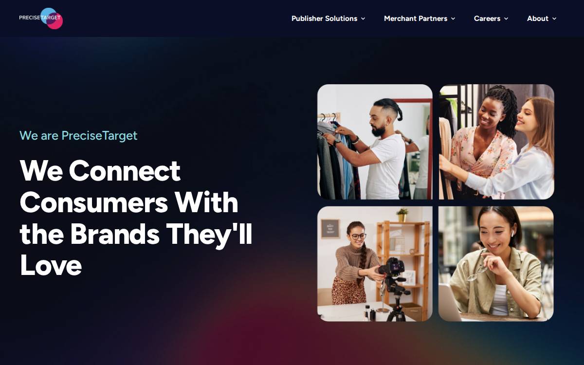 PreciseTarget website preview