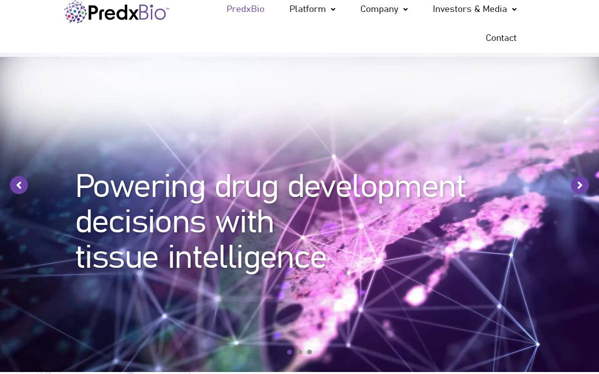 Predxbio website preview