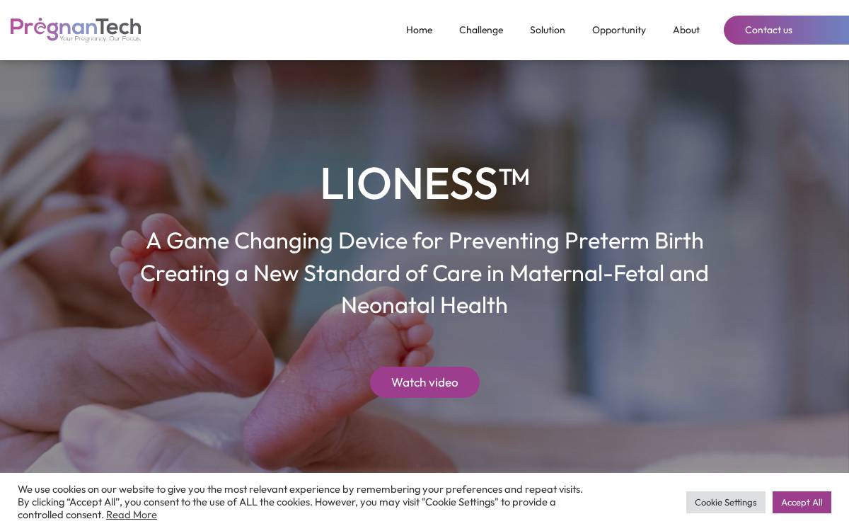 Pregnantech website preview