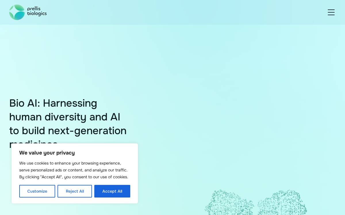 Prellis website preview