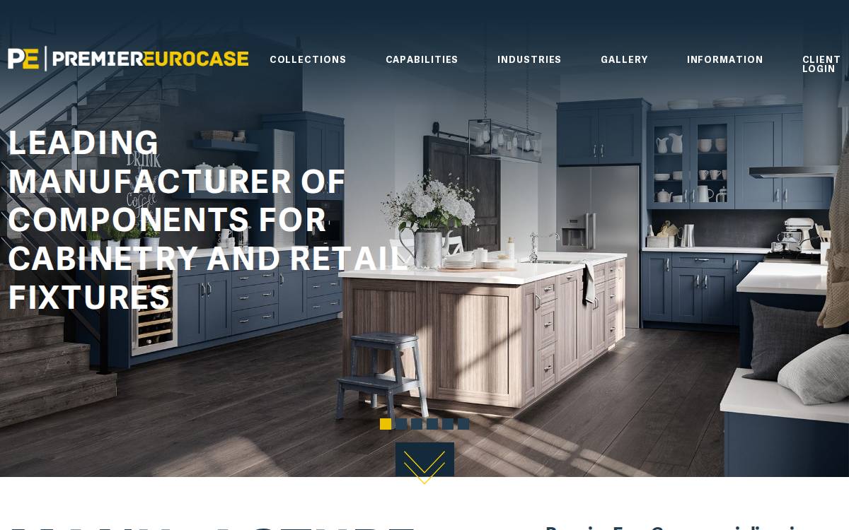 Premiereurocase website preview