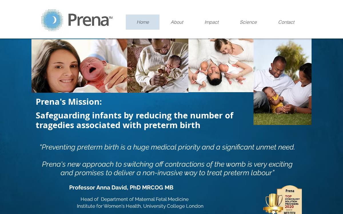 Prena website preview