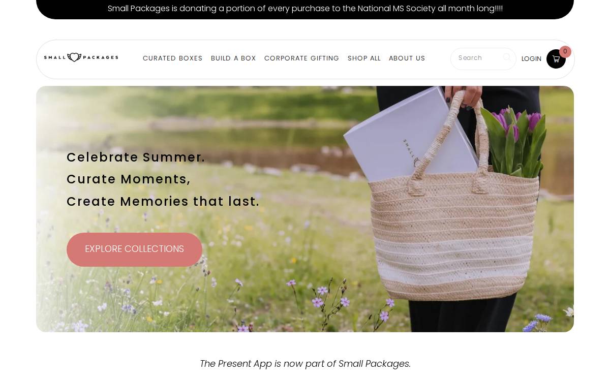 Present website preview