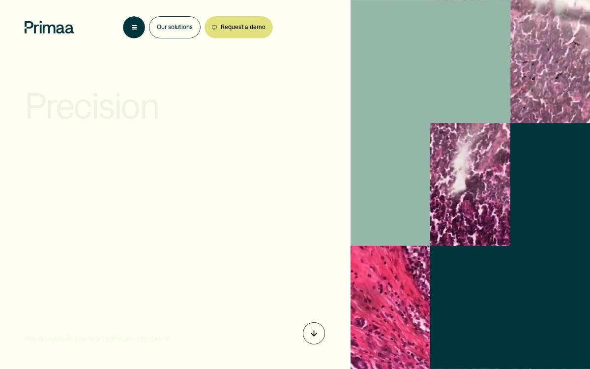 Primaa website preview