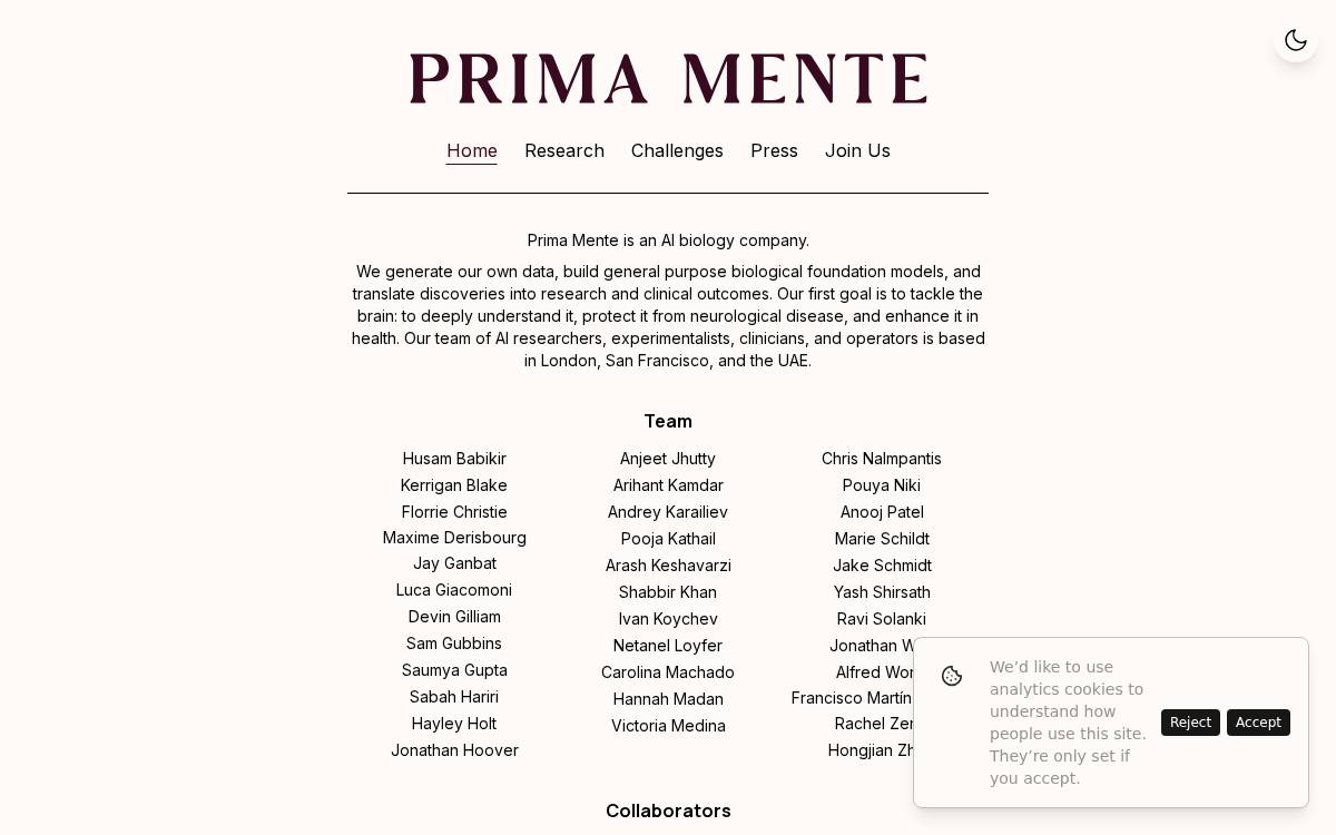 Primamente website preview