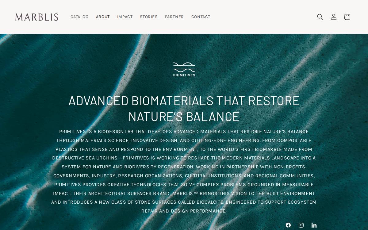 Primitives website preview