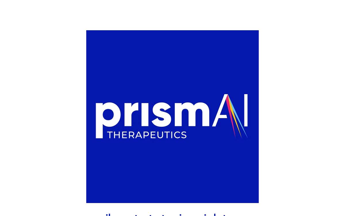 Prism Ai website preview