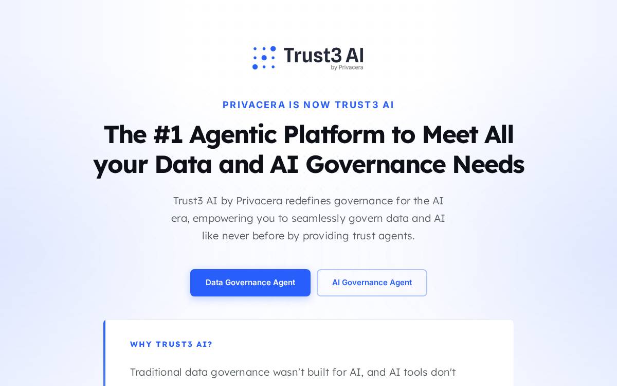 Privacera website preview
